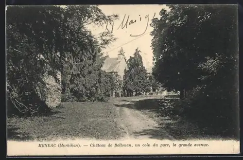 AK Ménéac /Morbihan, Château de Bellouan, un coin du parc, la grande avenue