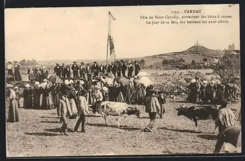 AK Carnac, Fête de Saint Cornély, protecteur des bêtes à cornes, avec offrandes de bestiaux