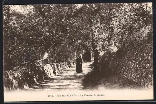 AK Île-aux-Moines, Le Chemin du Guéric
