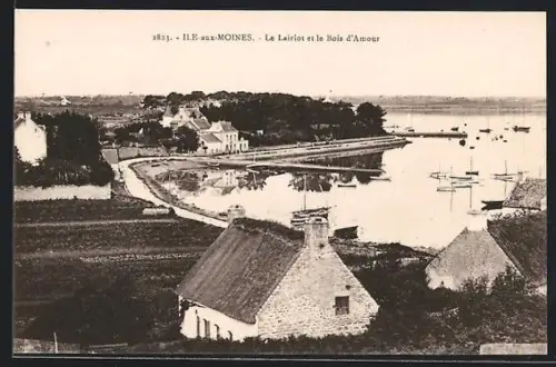 AK Île-aux-Moines, Le Lario et le Bois d`Amour avec vue sur le littoral et les bateaux amarrés