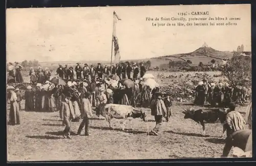 AK Carnac, Fête de Saint Cornély, protecteur des bêtes à cornes, avec des animaux offerts en hommage