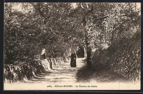AK Île-aux-Moines, Le Chemin du Guéric