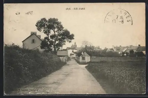 AK Île d`Arz, Chemin rural bordé de maisons et arbres
