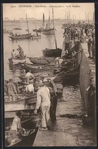 AK Quiberon, Port-Maria, Débarquement de la sardine