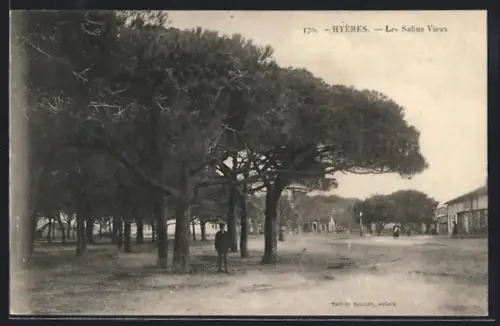 AK Hyères, Les Salins Vieux avec arbres et bâtiments en arrière-plan