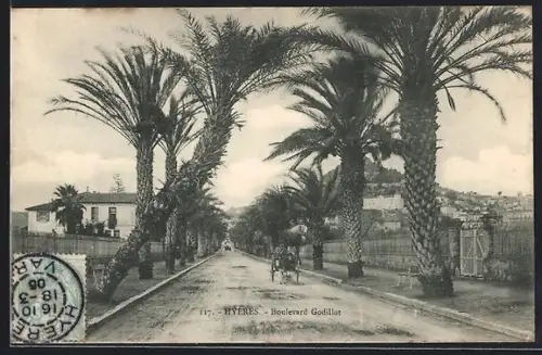 AK Hyères, Boulevard Godillot avec palmiers majestueux