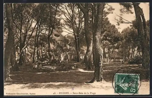 AK Hyères, Sous-Bois de la Plage