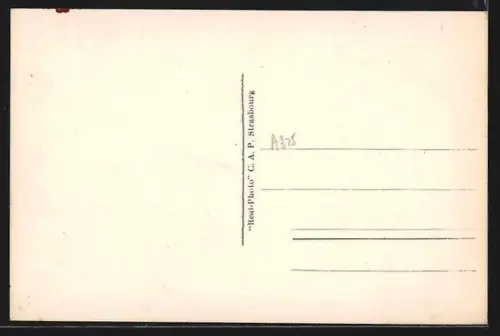 AK St-Raphaël, Yachts dans le Port