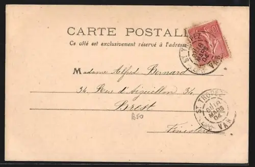 AK Saint-Tropez, Vue générale de la Ponche