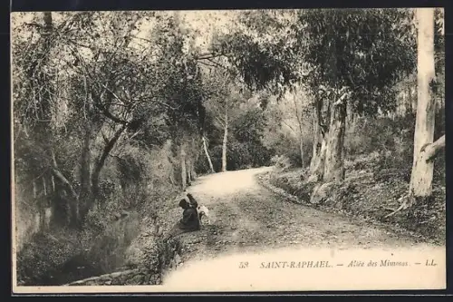 AK Saint-Raphael, Allée des Mimosas