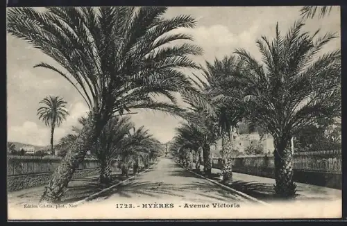 AK Hyères, Avenue Victoria bordée de palmiers majestueux