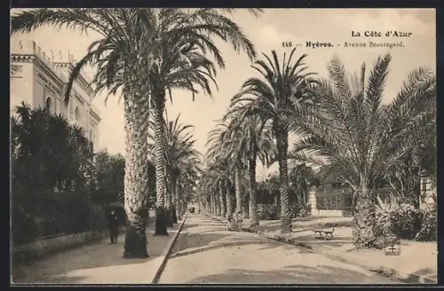 AK Hyères /Côte d`Azur, Avenue Beauregard bordée de palmiers majestueux