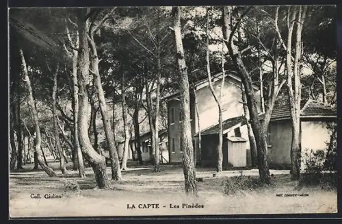 AK La Capte, Les Pinèdes