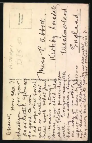 Künstler-AK Terzi: Elegante Dame mit kleinem Hund