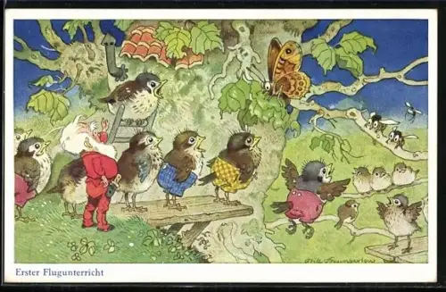 Künstler-AK Fritz Baumgarten: Erster Flugunterricht, Jungvögel und Wichtel, Zwerg