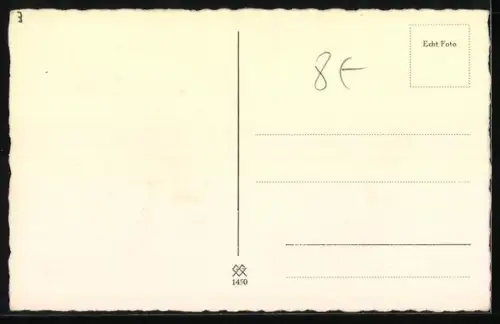 AK Portrait eines Barsoi-Hundes