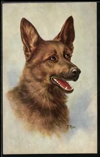 Künstler-AK Schäferhund mit offenem Maul