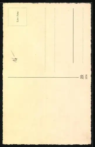 AK Deutscher Schäferhund mit heraushängender Zunge