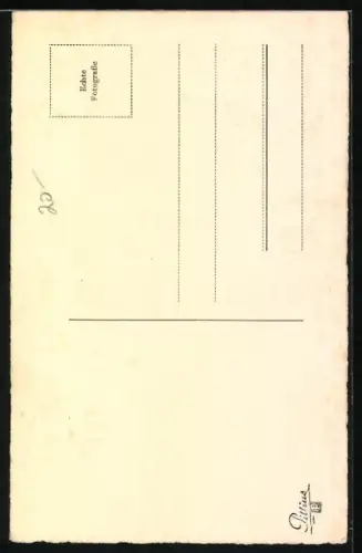 AK Zwei Schäferhunde mit Kettenhalsbänder