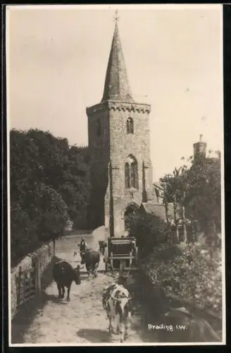 AK Brading, Turm mit Kühen