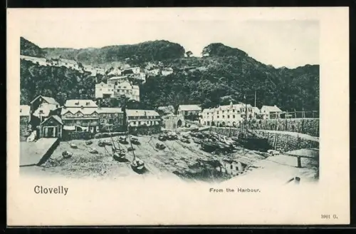 AK Clovelly, From the Harbour