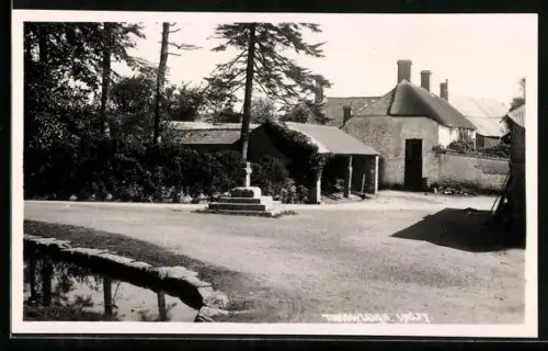 AK Throwleigh, Panorama