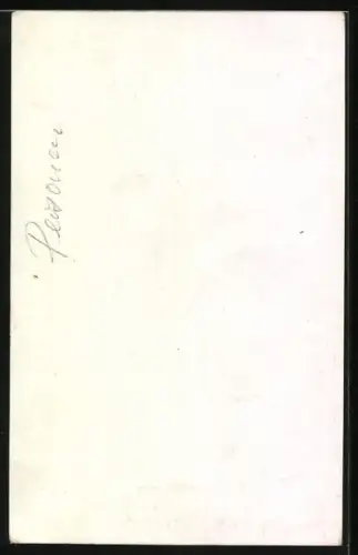 AK Princi Ferdinand Francois i Burbon-Orleanit, Duka de Montpensier, Portrait