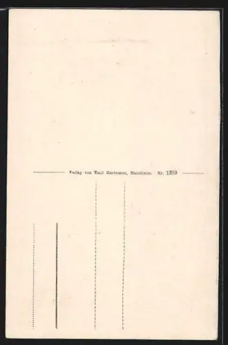 AK Baden-Baden, Altes Schlosss, Eingang