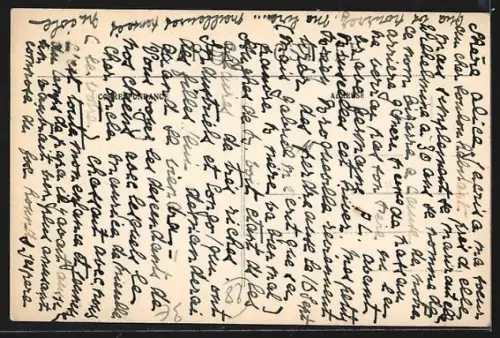 AK Senonches /E.-et-L., Château de Tardais, La Meute