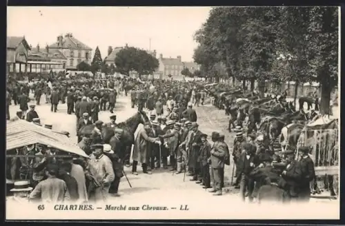 AK Chartres, Marché aux Chevaux