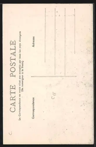 AK Quiberon /Morbihan, Statue de Hoche