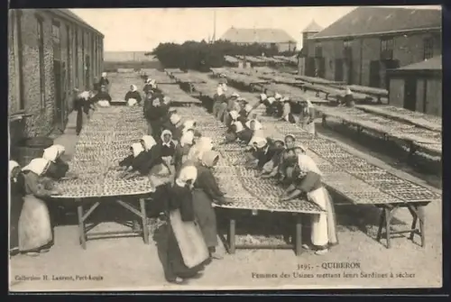AK Quiberon, Femmes des usines mettant leurs sardines à sécher