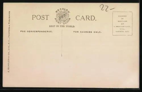 AK Windsor, Funeral of King Edward the Peacemaker, May 1910, Entering St. George`s Chapel