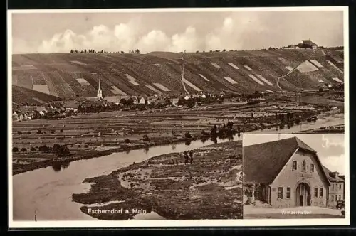 AK Escherndorf a. Main, Gasthaus Winzerkeller, Ortsansicht mit Main und Weinbergen
