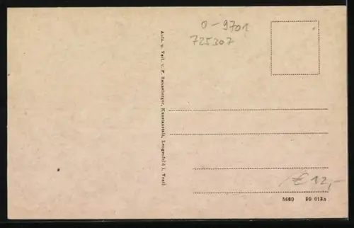 AK Rebesgrün b. Auerbach, Gemeindehaus, Schule, Totalansicht des Ortes