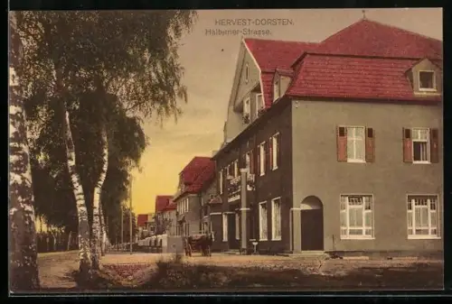 AK Hervest-Dorsten, Haltener Strasse mit Wohngebäuden
