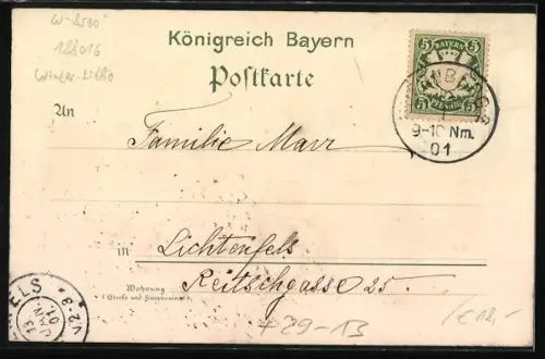 Winter-Lithographie Nürnberg, Schöner Brunnen, Dürerhaus, Schlittschuhläufer im Stadtpark