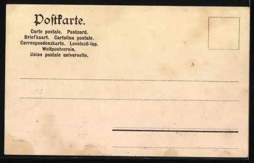 Lithographie Bacharach a. Rh., Restaurant und Weingrosshandlung Jeiter & Müller, Panorama mit Dampferlandestelle