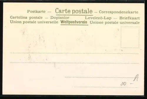 AK Augsburg, Frauenthorstrasse mit Englischem Institut, Passepartout mit Blumen