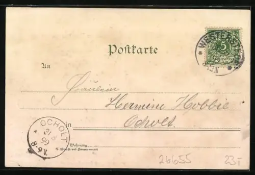 Lithographie Westerstede, Secundär-Bahn, Peterstrasse, Teilansichten