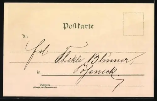 Lithographie Augsburg-Göggingen, Innenansicht des Palmenhauses