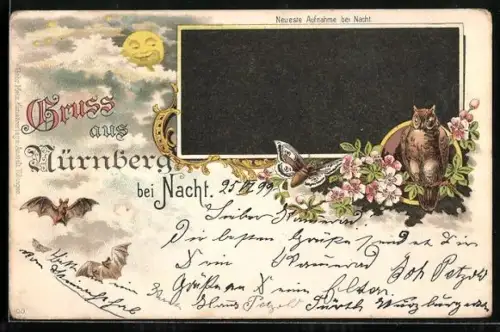Lithographie Nürnberg, Blick auf Nürnberg bei Nacht im Passepartout, Uhu, Nachtfalter und Fledermäuse