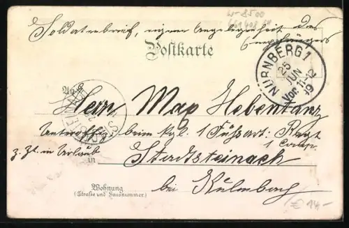 Lithographie Nürnberg, Blick auf Nürnberg bei Nacht im Passepartout, Uhu, Nachtfalter und Fledermäuse