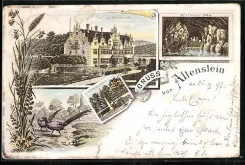 Lithographie Altenstein / Liebenstein, Schloss Altenstein, Luther Denkmal, Altensteiner Höhle