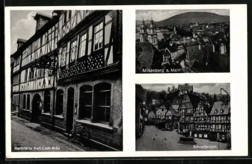 AK Miltenberg a. Main, Gaststätte Kalt-Loch-Bräu, Schnatterloch und Totalansicht