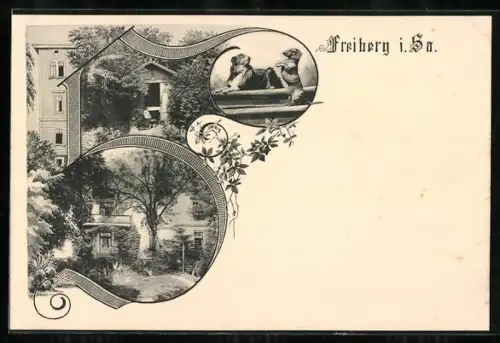 AK Freiberg i. Sa., Ortspartie, Häuschen, Spielende Hunde