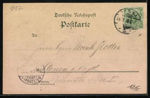 Lithographie Pirna, Sonnenstein und Elbpartie mit Dampfern