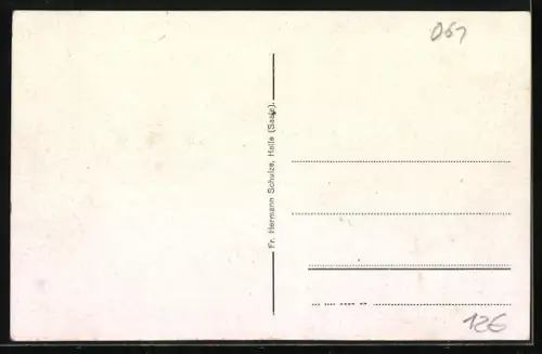 AK Halle /Saale, Strassenpartie mit Kirche, Hallenser, Halloren