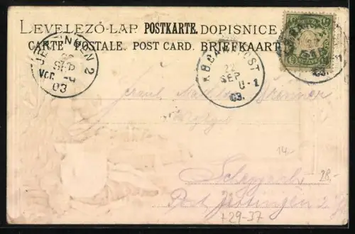 Passepartout-Lithographie Augsburg, Partie im Augsburger Stadtgarten, Löwe mit Wappen