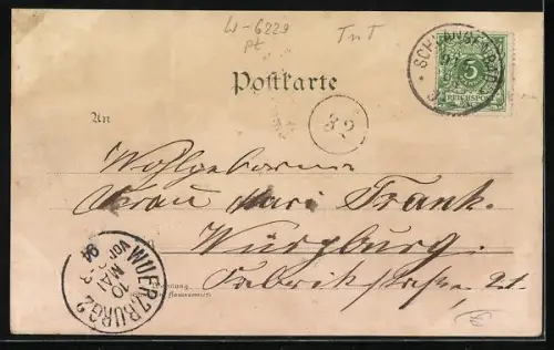 Vorläufer-Lithographie Schlangenbad, 1894, Hotel Nassauer Hof, Oberes Kurhaus, Unteres u. Mittleres Kurhaus